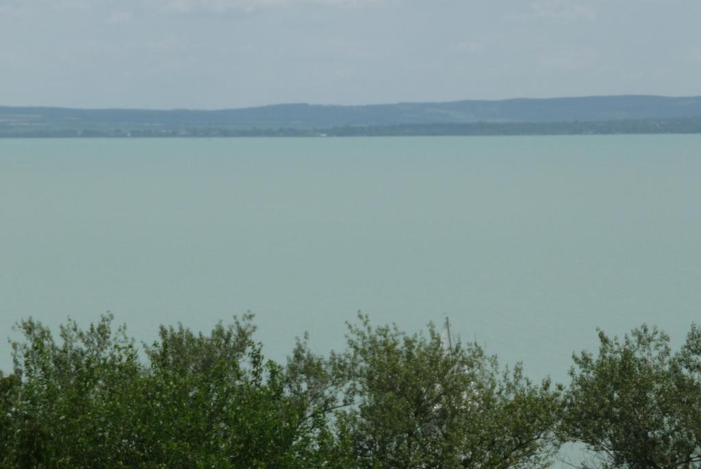 Apartmán Panorama Vendeghaz Balatonszepezd Pokoj fotografie